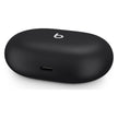 Beats Studio Buds True Wireless Noise Cancelling Earbuds Black